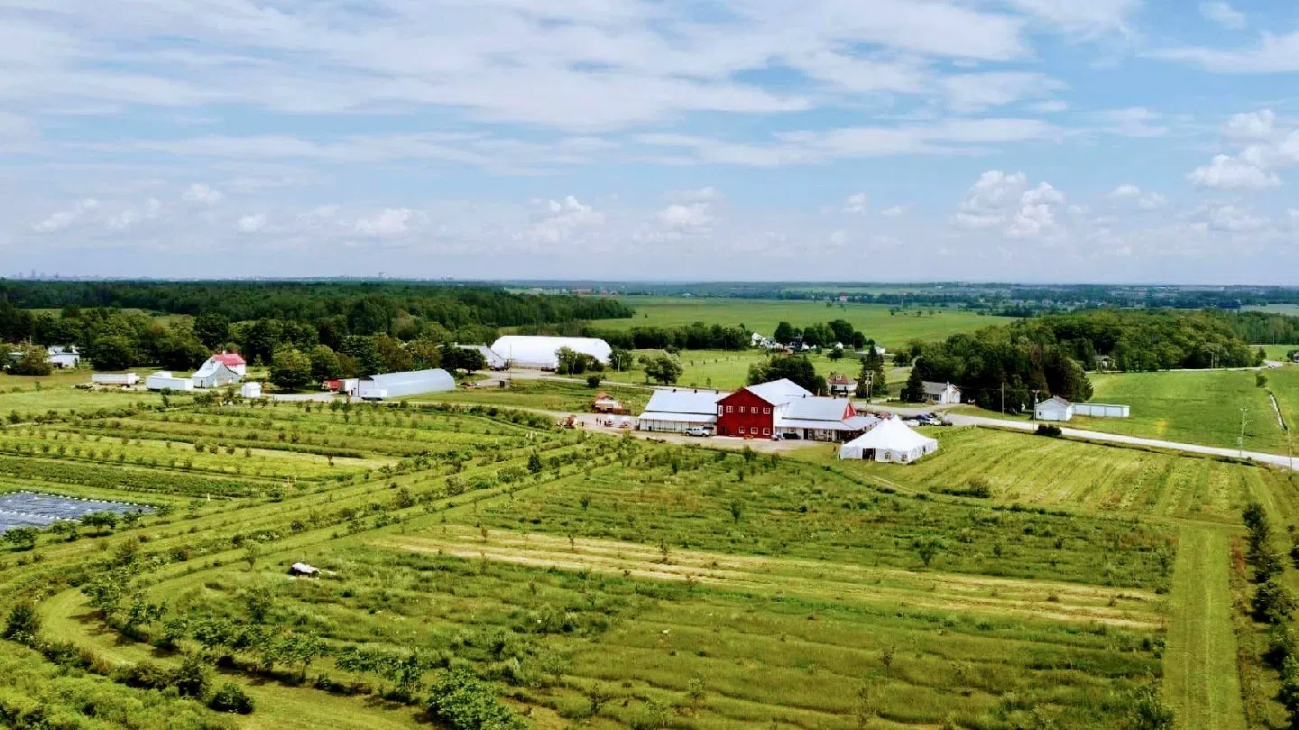 Cité Agricole — La Cabane, Quebec